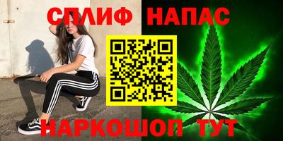 PSILOCYBIN Анжеро-Судженск