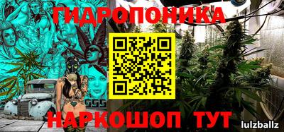 PSILOCYBIN Анжеро-Судженск