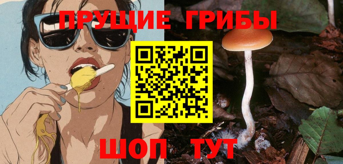 Галлюциногенные грибы мицелий  Галлюциногенные грибы прущие грибы  Ачхой-Мартан  Вход с VPN 